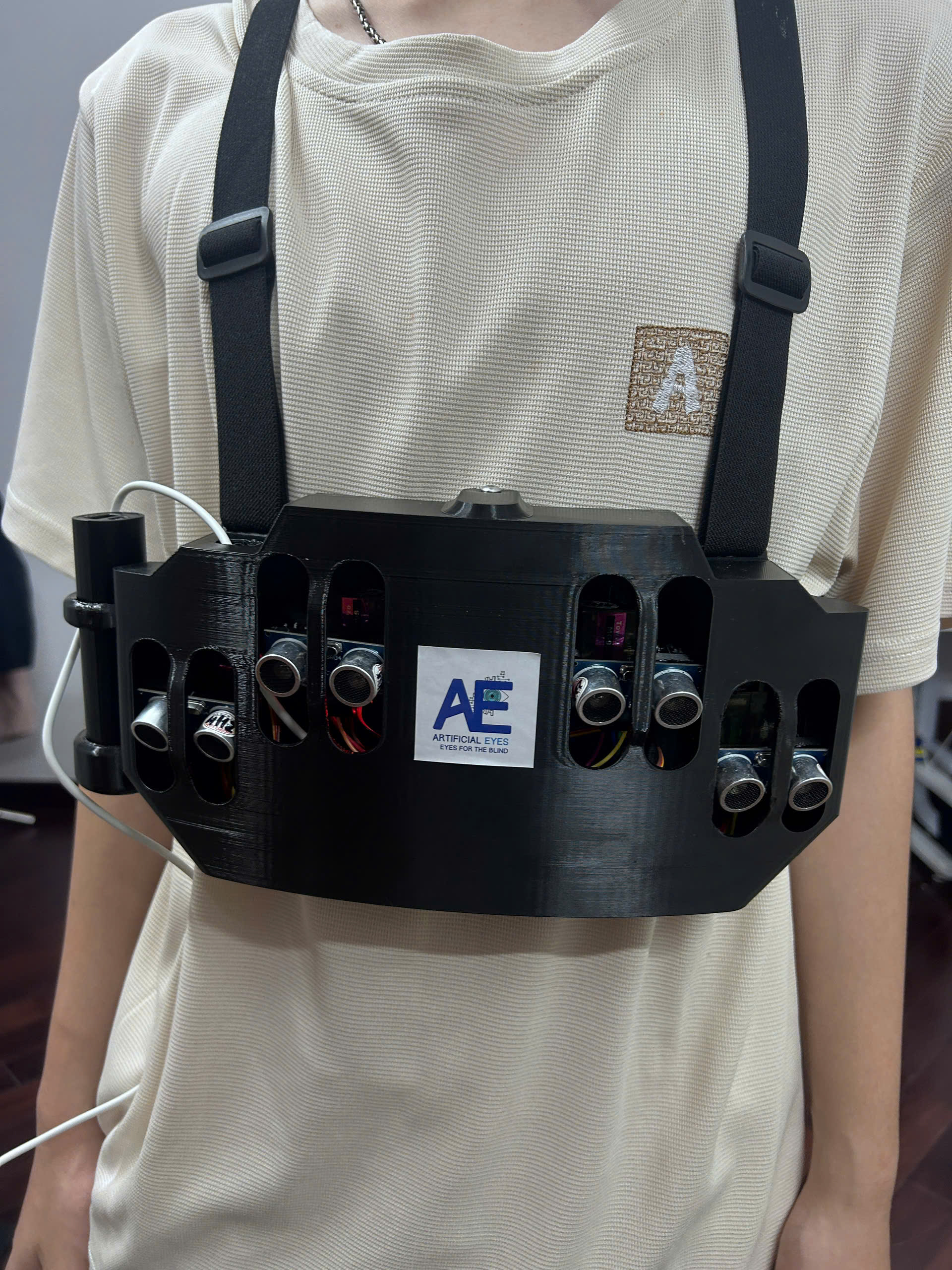 Thiết bị Artificial Eyes